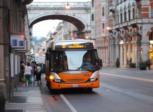 La commissione Trasporti e il Tpl: spunti per una riforma