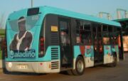 Act: superata la prima fase di sperimentazione, decolla con successo il nuovo servizio bus urbano notturno a prenotazione telefonica Aladino