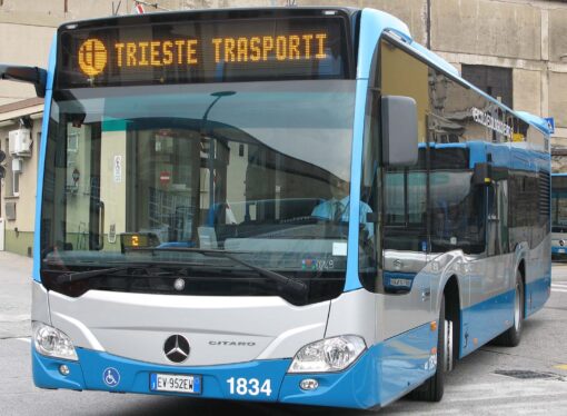 Trieste Trasporti: Wanda Ternau nominata Presidente